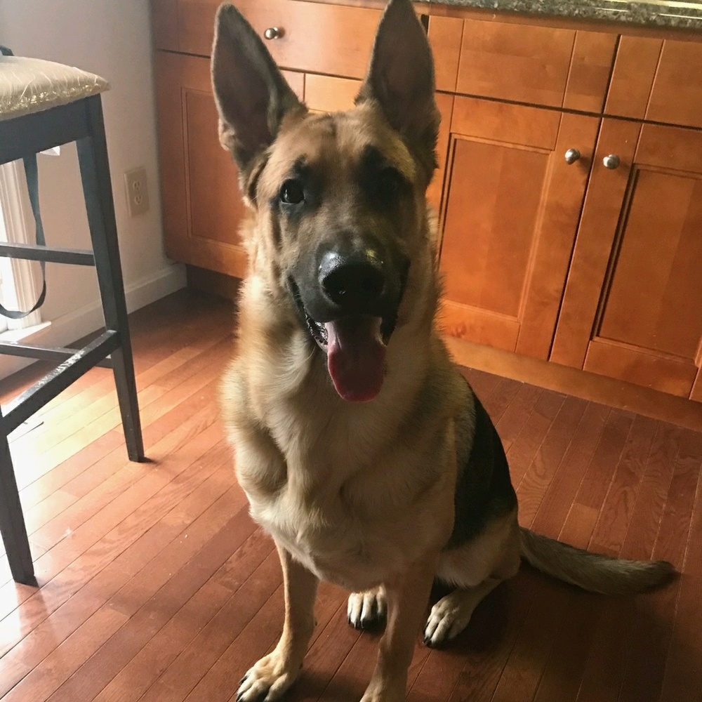 Meet your Posher, Carlos